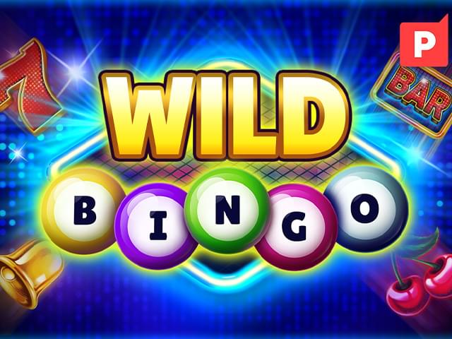 466 bet Bingo Selvagem
